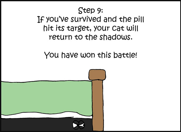 10-Step Guide Goes To Absurd Lengths Explaining How To Make A Cat Take A Pill, And It&#8217;s Hilarious