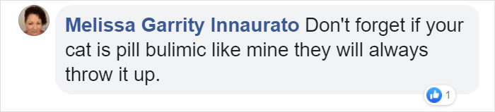 10-Step Guide Goes To Absurd Lengths Explaining How To Make A Cat Take A Pill, And It&#8217;s Hilarious