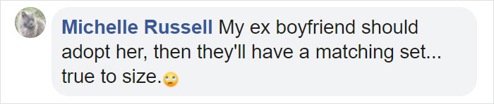 This Cat Can’t Get A Home Because Of Her Facial Markings This Cat Can’t Get A Home Because Of Her Facial Markings