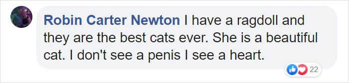 This Cat Can’t Get A Home Because Of Her Facial Markings This Cat Can’t Get A Home Because Of Her Facial Markings