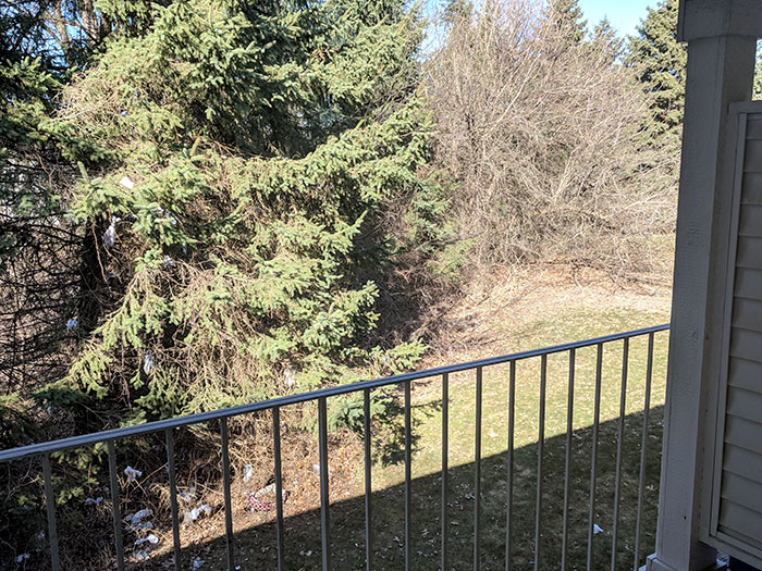 30 Idiot People Who Don’t Deserve To Own A Pet 30 Idiot People Who Don’t Deserve To Own A Pet