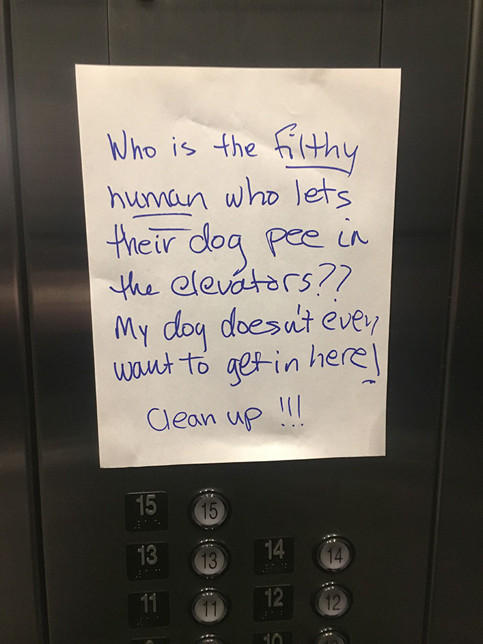 30 Idiot People Who Don’t Deserve To Own A Pet 30 Idiot People Who Don’t Deserve To Own A Pet