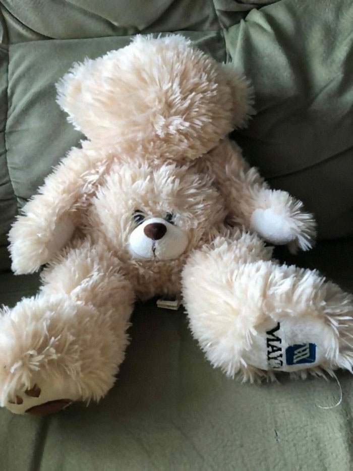 45 Times People Couldn’t Believe Their Luck In Thrift Stores 45 Times People Couldn’t Believe Their Luck In Thrift Stores