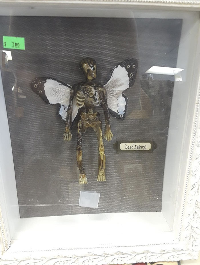 45 Times People Couldn’t Believe Their Luck In Thrift Stores 45 Times People Couldn’t Believe Their Luck In Thrift Stores