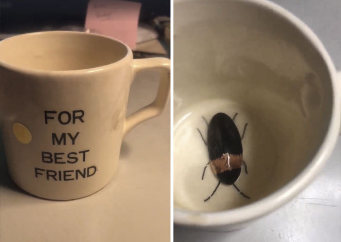 45 Times People Couldn’t Believe Their Luck In Thrift Stores