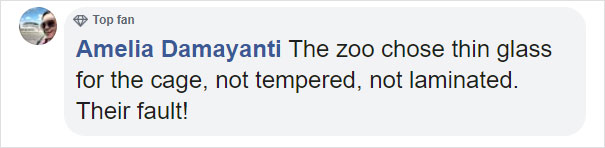 Zoo’s Visitor Sees Monkey Sharpening A Rock, Later It Uses It To Shatter Its Glass Enclosure Zoo’s Visitor Sees Monkey Sharpening A Rock, Later It Uses It To Shatter Its Glass Enclosure