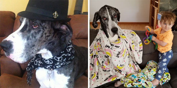 30 Hilarious Before And After Photos Of How Life Changes After Having Kids