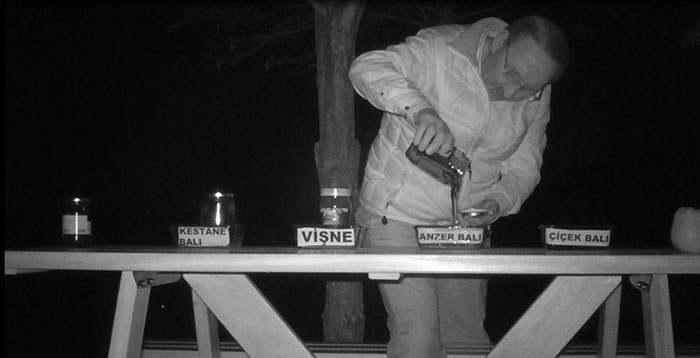 After Bears Kept Coming To This Man’s Bee Farm To Steal Honey, He Decided To Turn Them Into Honey Tasters