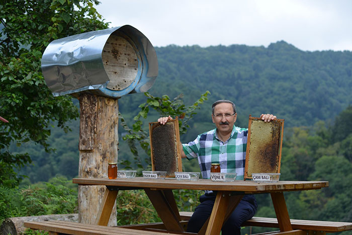 After Bears Kept Coming To This Man’s Bee Farm To Steal Honey, He Decided To Turn Them Into Honey Tasters