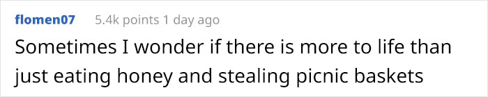 After Bears Kept Coming To This Man’s Bee Farm To Steal Honey, He Decided To Turn Them Into Honey Tasters