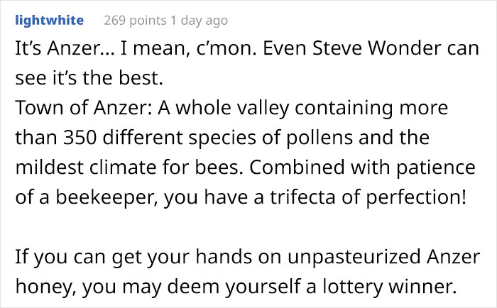 After Bears Kept Coming To This Man’s Bee Farm To Steal Honey, He Decided To Turn Them Into Honey Tasters