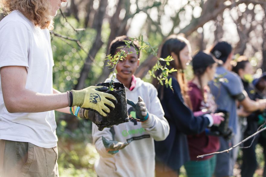 Greenpop Wants To Help Save The Planet With Their Goal Of Planting 500,000 Trees By 2025 In South Africa Greenpop Wants To Help Save The Planet With Their Goal Of Planting 500,000 Trees By 2025 In South Africa