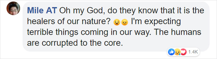 500 Million Bees Have Already Died In Brazil Within Three Months And The Future Of Our Food Is In Question 500 Million Bees Have Already Died In Brazil Within Three Months And The Future Of Our Food Is In Question