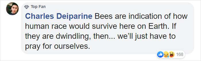 500 Million Bees Have Already Died In Brazil Within Three Months And The Future Of Our Food Is In Question 500 Million Bees Have Already Died In Brazil Within Three Months And The Future Of Our Food Is In Question