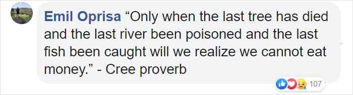 500 Million Bees Have Already Died In Brazil Within Three Months And The Future Of Our Food Is In Question 500 Million Bees Have Already Died In Brazil Within Three Months And The Future Of Our Food Is In Question