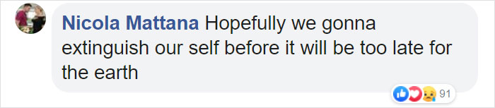 500 Million Bees Have Already Died In Brazil Within Three Months And The Future Of Our Food Is In Question 500 Million Bees Have Already Died In Brazil Within Three Months And The Future Of Our Food Is In Question