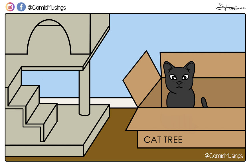 My 18 Silly Comics About My Life With My Husband And Our Pets My 18 Silly Comics About My Life With My Husband And Our Pets