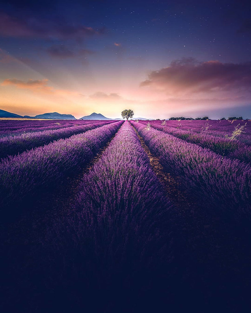Breathtaking Aerial Photos Of A Lavender Field In Southern France By Samir Belhamra (12 Pics)