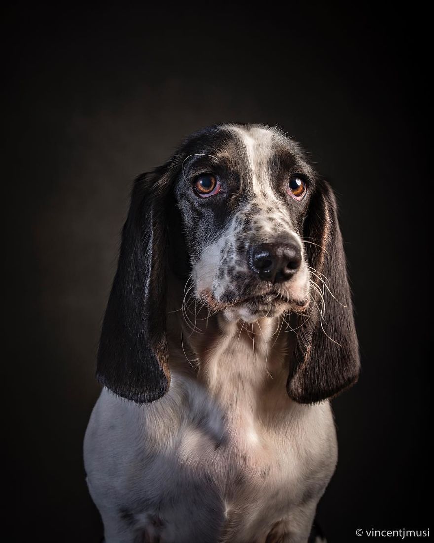 15 Pics Of Witty ‘Dogographies’ By National Geographic Photographer Who Decided To Take A Year Off 15 Pics Of Witty ‘Dogographies’ By National Geographic Photographer Who Decided To Take A Year Off