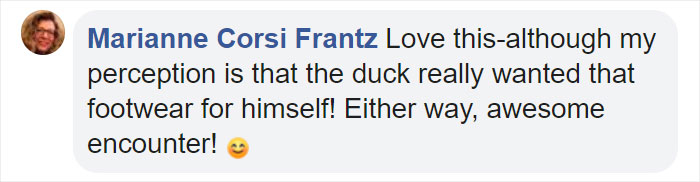 Little Boy&#8217;s Slipper Falls Down A Hill, Kind Duck Retrieves It