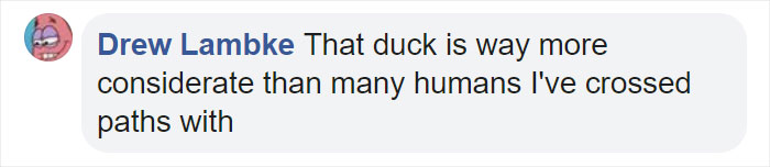 Little Boy’s Slipper Falls Down A Hill, Kind Duck Retrieves It Little Boy’s Slipper Falls Down A Hill, Kind Duck Retrieves It