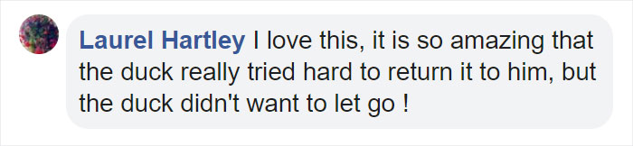 Little Boy&#8217;s Slipper Falls Down A Hill, Kind Duck Retrieves It