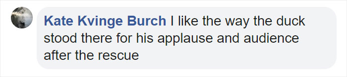 Little Boy’s Slipper Falls Down A Hill, Kind Duck Retrieves It Little Boy’s Slipper Falls Down A Hill, Kind Duck Retrieves It