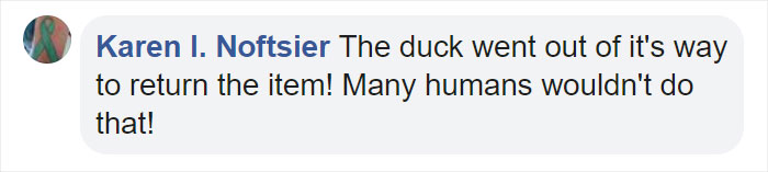 Little Boy’s Slipper Falls Down A Hill, Kind Duck Retrieves It Little Boy’s Slipper Falls Down A Hill, Kind Duck Retrieves It
