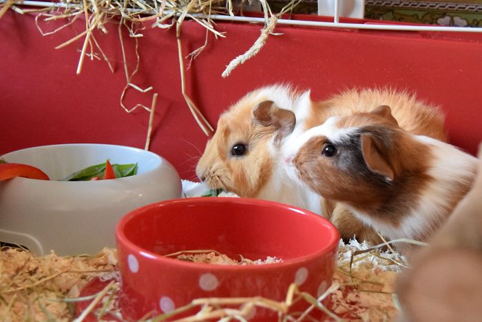 Father Asks Strangers To Suggest Interesting Facts He Could Tell His Daughter, Gets 40 Responses Father Asks Strangers To Suggest Interesting Facts He Could Tell His Daughter, Gets 40 Responses