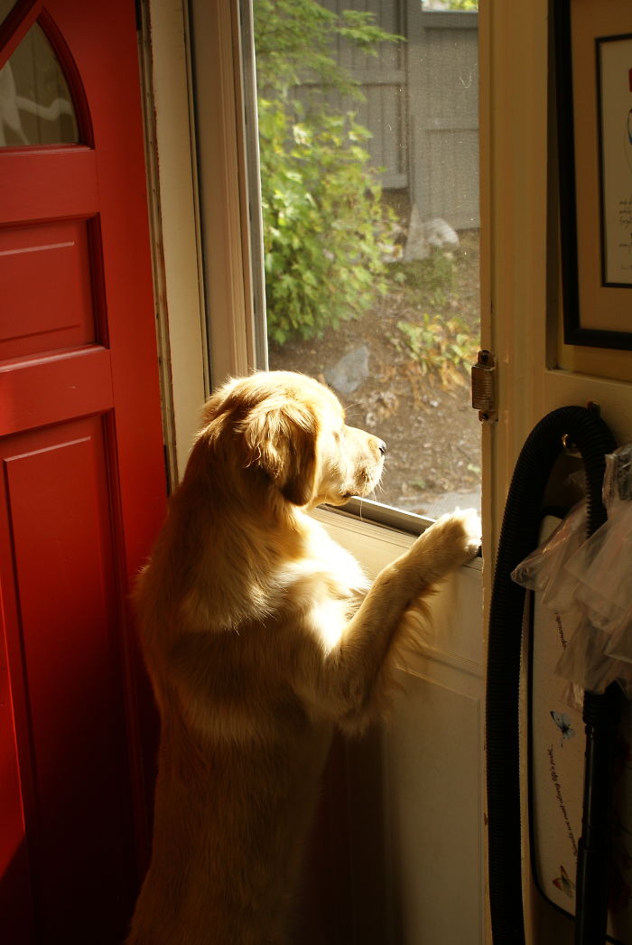 Father Asks Strangers To Suggest Interesting Facts He Could Tell His Daughter, Gets 40 Responses Father Asks Strangers To Suggest Interesting Facts He Could Tell His Daughter, Gets 40 Responses