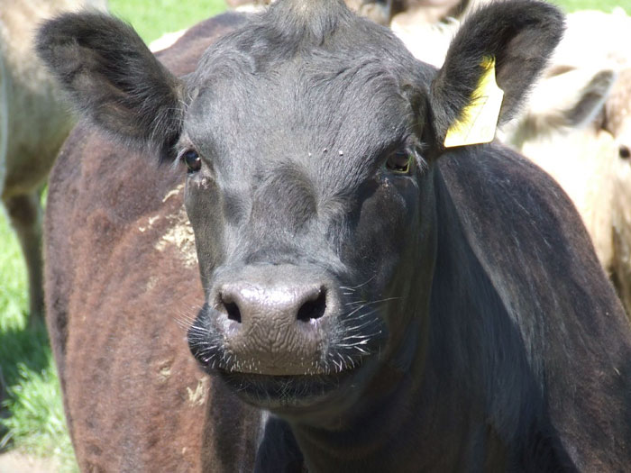 Father Asks Strangers To Suggest Interesting Facts He Could Tell His Daughter, Gets 40 Responses Father Asks Strangers To Suggest Interesting Facts He Could Tell His Daughter, Gets 40 Responses