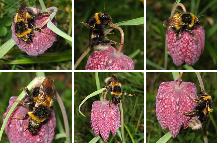 Father Asks Strangers To Suggest Interesting Facts He Could Tell His Daughter, Gets 40 Responses Father Asks Strangers To Suggest Interesting Facts He Could Tell His Daughter, Gets 40 Responses