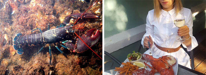 Father Asks Strangers To Suggest Interesting Facts He Could Tell His Daughter, Gets 40 Responses Father Asks Strangers To Suggest Interesting Facts He Could Tell His Daughter, Gets 40 Responses