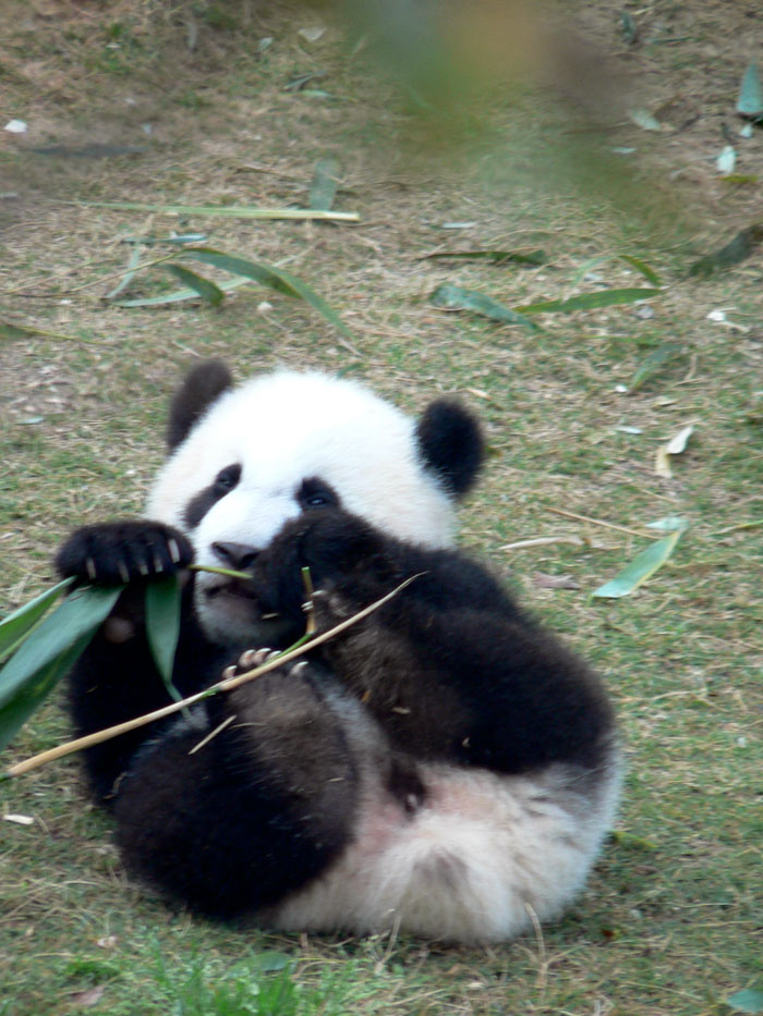 Father Asks Strangers To Suggest Interesting Facts He Could Tell His Daughter, Gets 40 Responses Father Asks Strangers To Suggest Interesting Facts He Could Tell His Daughter, Gets 40 Responses