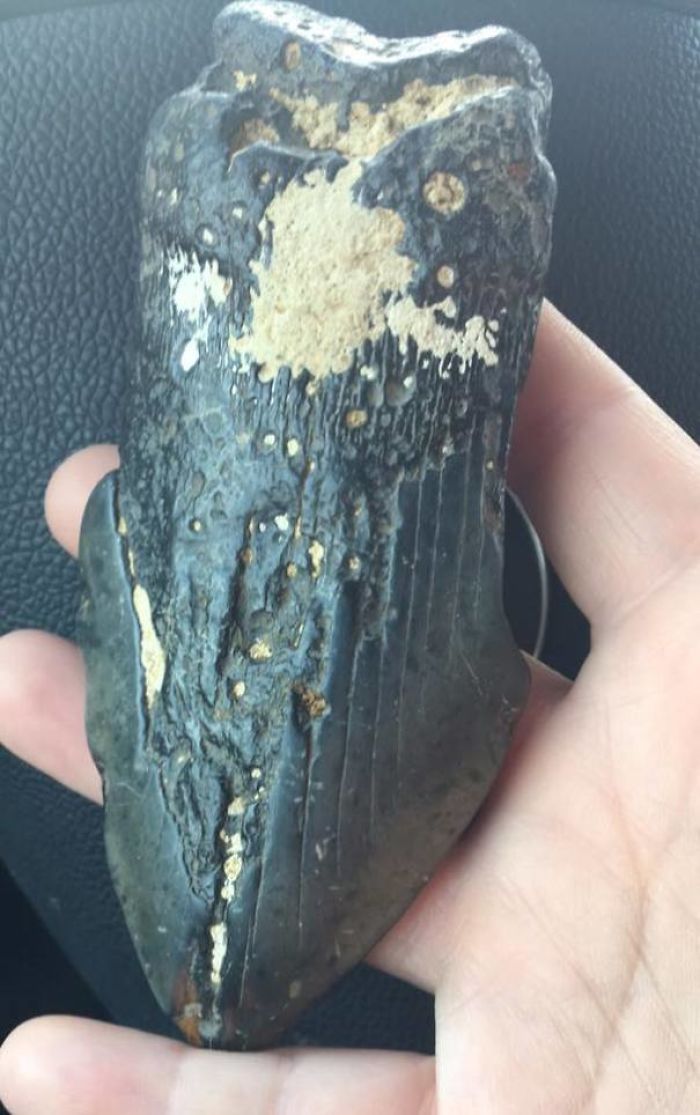 40 Times People Had No Idea What They Were Looking At, But The Internet Knew What It Was Right Away 40 Times People Had No Idea What They Were Looking At, But The Internet Knew What It Was Right Away