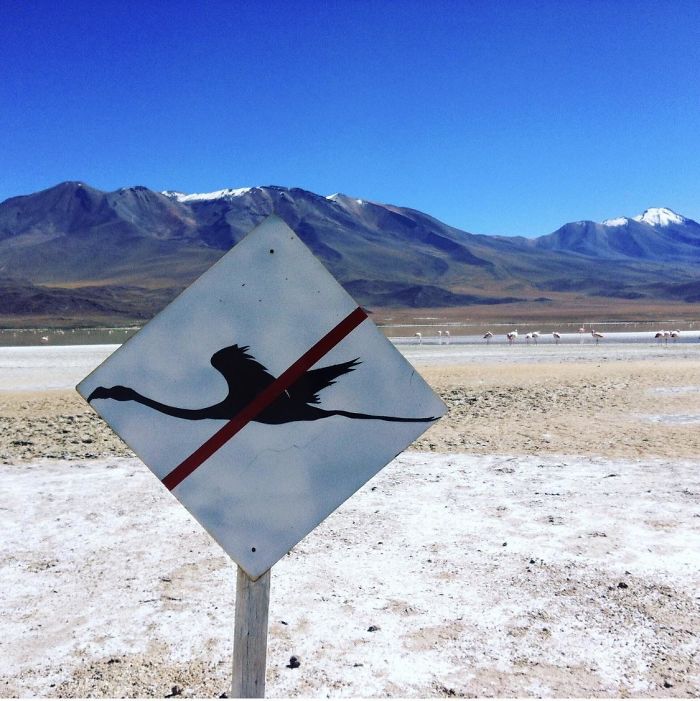 40 Times People Had No Idea What They Were Looking At, But The Internet Knew What It Was Right Away 40 Times People Had No Idea What They Were Looking At, But The Internet Knew What It Was Right Away