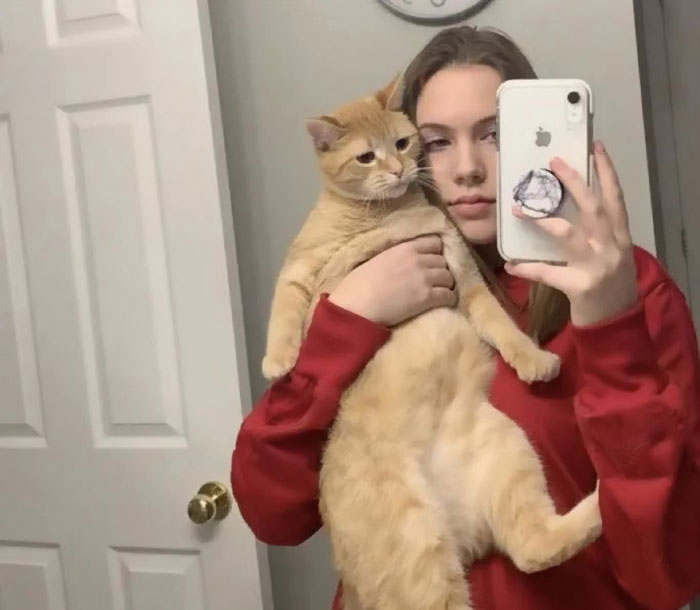 17-Year-Old Makes Hilarious TikTok Video Of Her Cat Dancing To “Mr. Sandman” And 1.5 Million People Love It 17-Year-Old Makes Hilarious TikTok Video Of Her Cat Dancing To “Mr. Sandman” And 1.5 Million People Love It