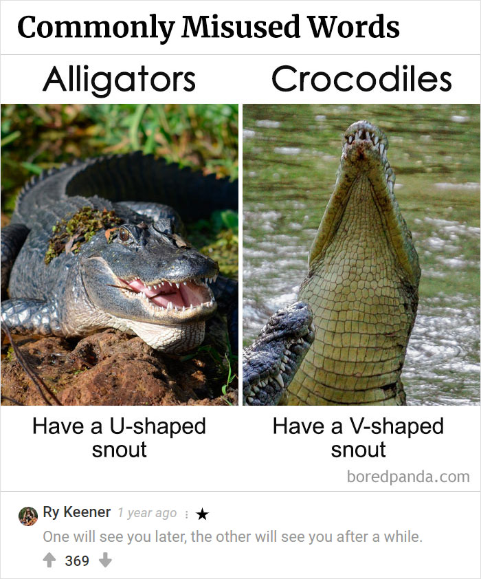 45 Funny Times The Comments Were Better Than Our Pictures 45 Funny Times The Comments Were Better Than Our Pictures