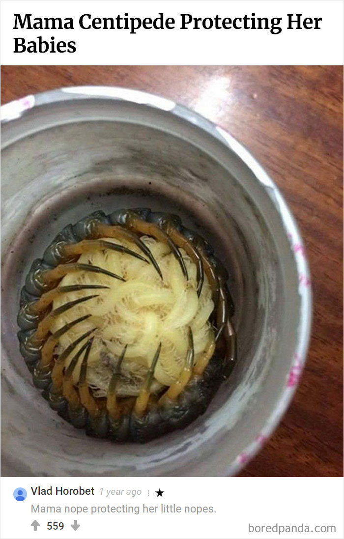 45 Funny Times The Comments Were Better Than Our Pictures 45 Funny Times The Comments Were Better Than Our Pictures