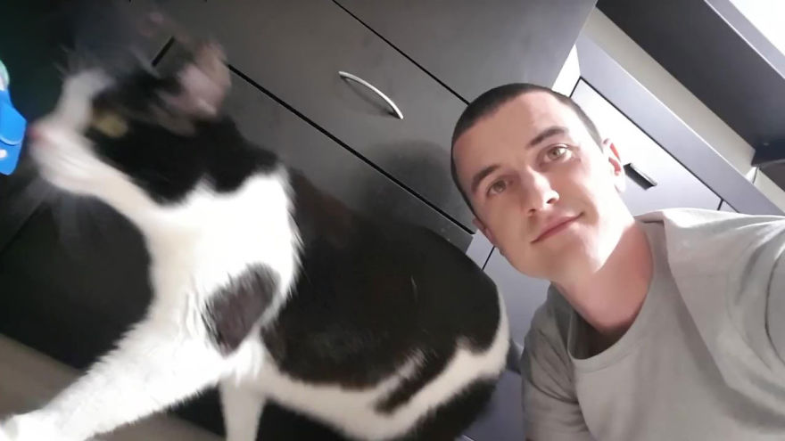 There’s A Cat Selfie Device That Will Make Your Photos With Your Cat Simply Purrfect There’s A Cat Selfie Device That Will Make Your Photos With Your Cat Simply Purrfect
