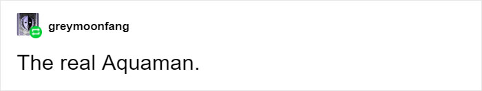 This Man Found A Genius Way To Catch Illegal Fishermen By Pretending To Be A Giant Salmon This Man Found A Genius Way To Catch Illegal Fishermen By Pretending To Be A Giant Salmon