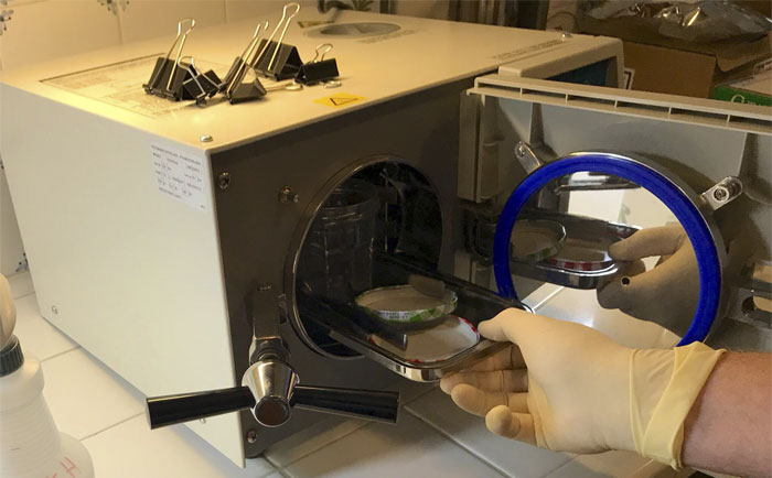 Scientist Bakes Bread From 4,500-Year-Old Yeast, Says The Flavor Is Incredible Scientist Bakes Bread From 4,500-Year-Old Yeast, Says The Flavor Is Incredible