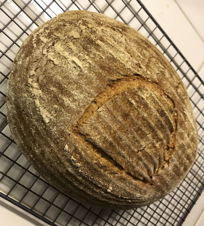 Scientist Bakes Bread From 4,500-Year-Old Yeast, Says The Flavor Is Incredible Scientist Bakes Bread From 4,500-Year-Old Yeast, Says The Flavor Is Incredible