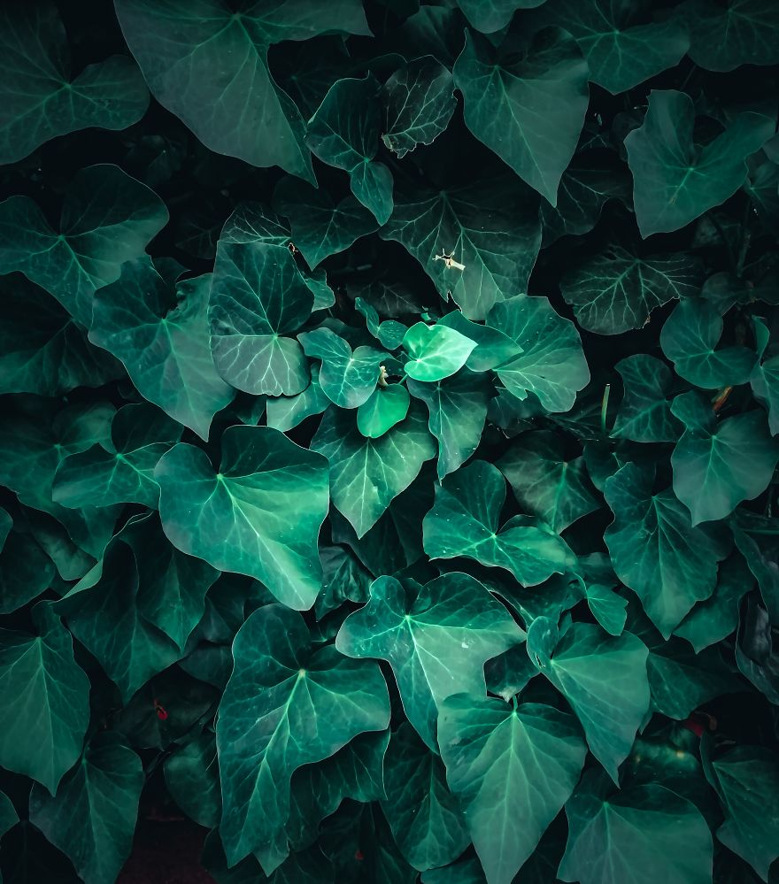 For Years, I&#8217;ve Been Taking Photos With My Smartphone And It Will Change Your Perspective