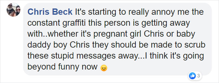 Pregnant Woman Is Painting Graffiti All Over This Australian Town, Trying To Reach The Father