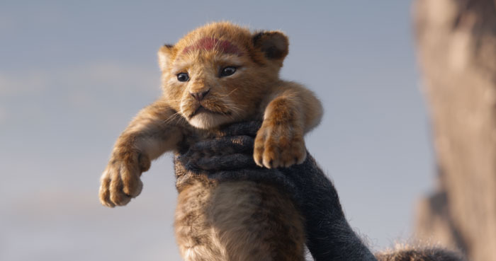 Meet Bahati The Cub, The Adorable Model For Simba In The Lion King Remake Meet Bahati The Cub, The Adorable Model For Simba In The Lion King Remake