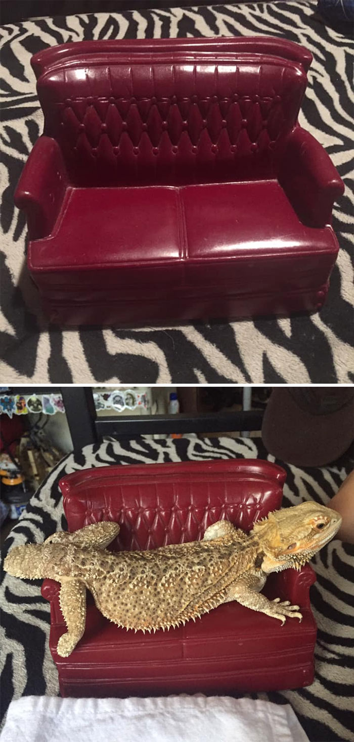 30 Times People Shared Their Weirdest Secondhand Finds 30 Times People Shared Their Weirdest Secondhand Finds