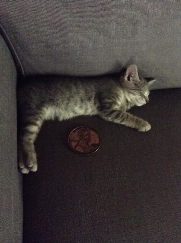 30 Times People Shared Their Weirdest Secondhand Finds 30 Times People Shared Their Weirdest Secondhand Finds