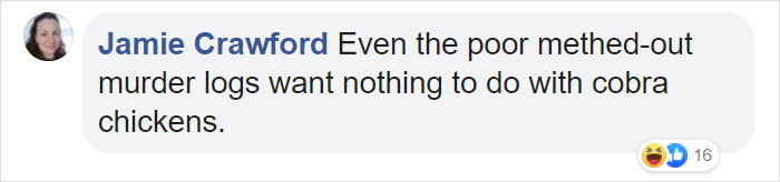 Angry Ducks Interrupt Golf Game By Chasing Alligator Down The Course