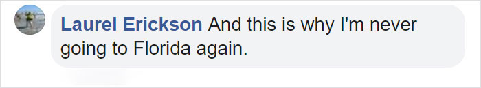 Angry Ducks Interrupt Golf Game By Chasing Alligator Down The Course